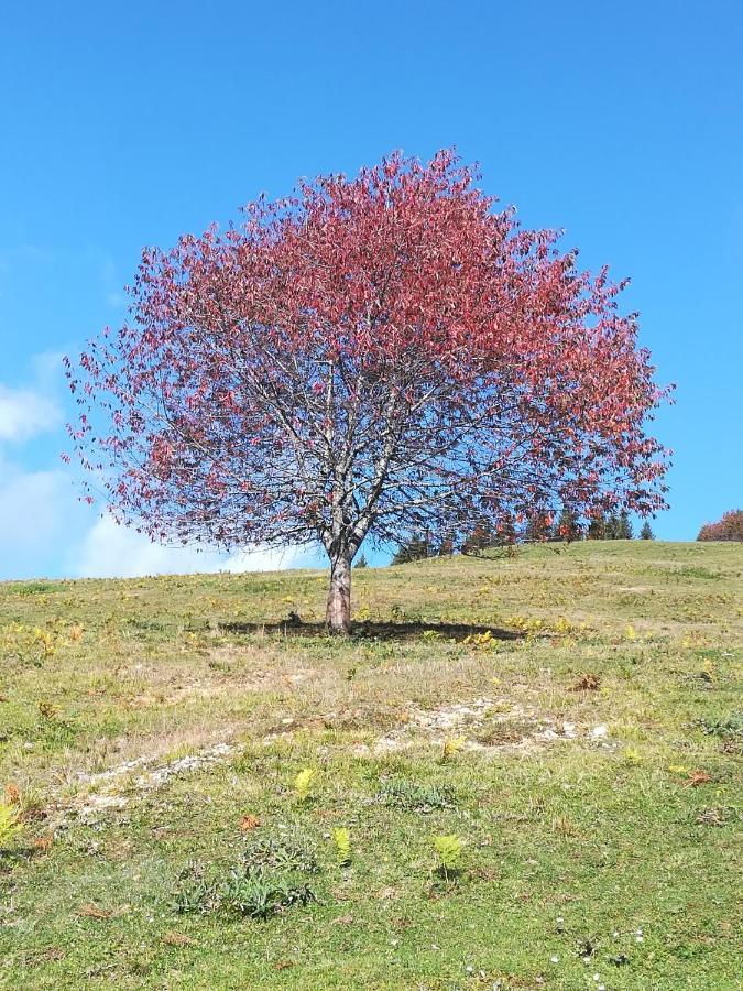 Zbogar Apartamento Rateče Exterior foto